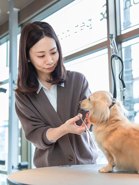 ドッグサロンのサービス紹介写真（各ブランド公式サイトより）